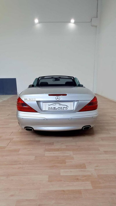 Mercedes-Benz SL 500 cat (4)