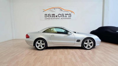 Mercedes-Benz SL 500 cat (6)