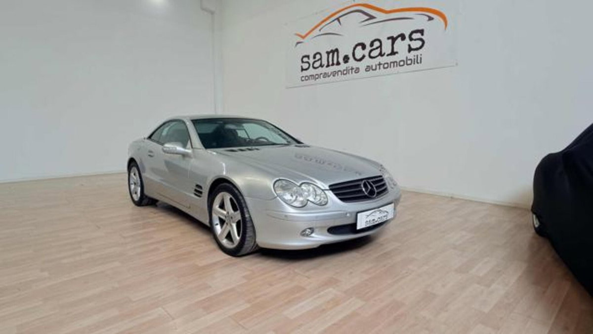 Mercedes-Benz SL 500 cat (7)