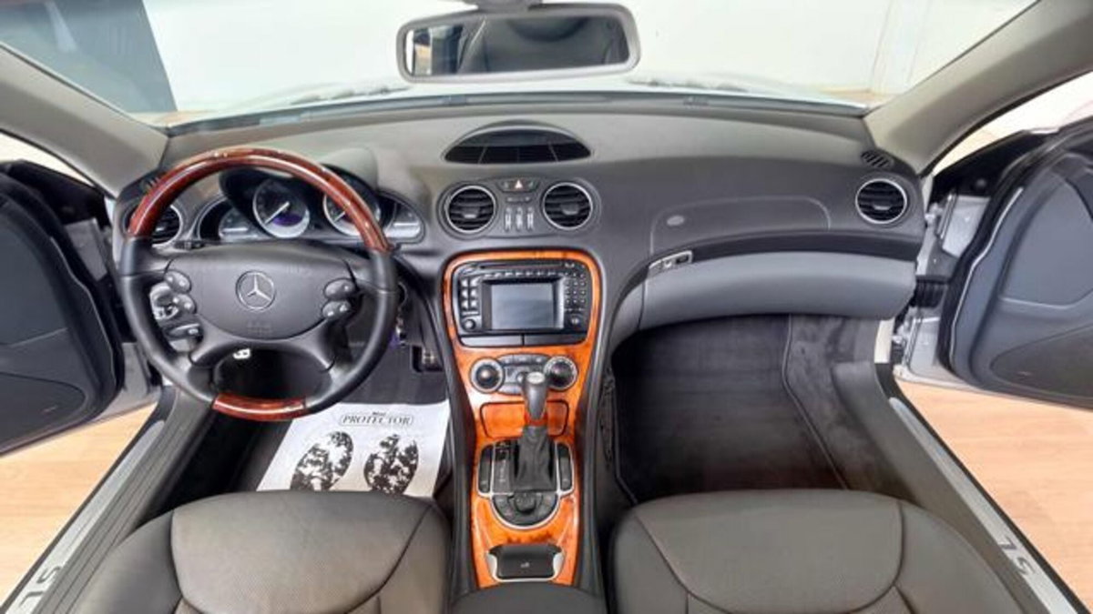Mercedes-Benz SL 500 cat (9)