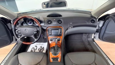 Mercedes-Benz SL 500 cat (9)