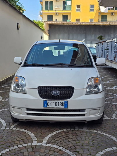 Kia Picanto 1.1 12V Spicy usata