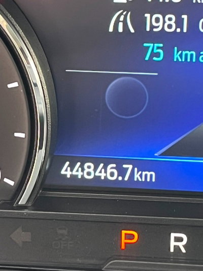 Ford Kuga 2.5 Plug In Hybrid 225 CV CVT 2WD Titanium (14)