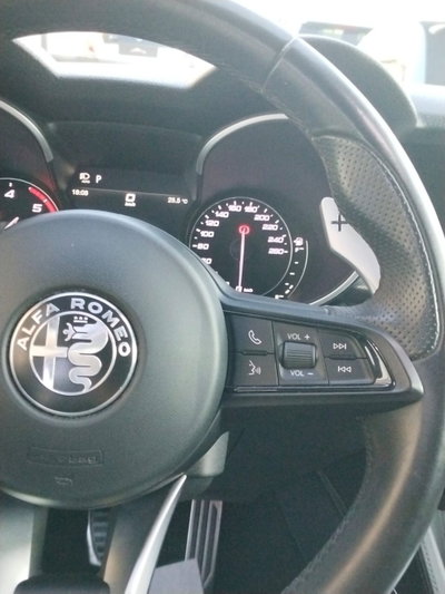 Alfa Romeo Stelvio Stelvio 2.2 Turbodiesel 190 CV AT8 Q4 Super Business (15)