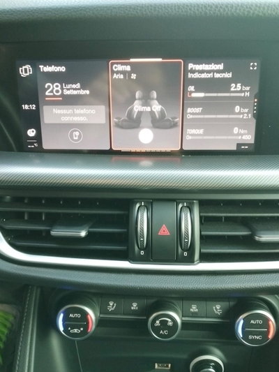 Alfa Romeo Stelvio Stelvio 2.2 Turbodiesel 190 CV AT8 Q4 Super Business (17)