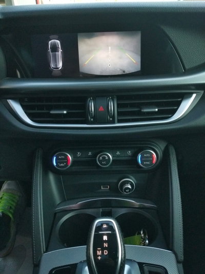 Alfa Romeo Stelvio Stelvio 2.2 Turbodiesel 190 CV AT8 Q4 Super Business (19)