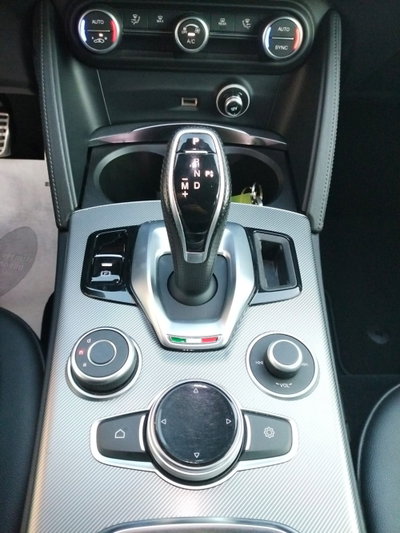 Alfa Romeo Stelvio Stelvio 2.2 Turbodiesel 190 CV AT8 Q4 Super Business (20)