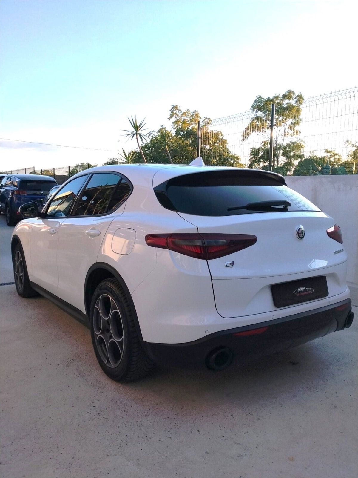 Alfa Romeo Stelvio Stelvio 2.2 Turbodiesel 190 CV AT8 Q4 Super Business (6)