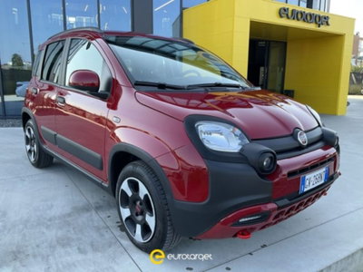Fiat Panda 1.0 FireFly S&S Hybrid City Cross usata