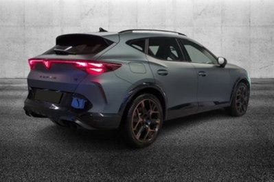 Cupra Formentor 2.0 tsi VZ Extreme 4drive 333cv dsg (4)