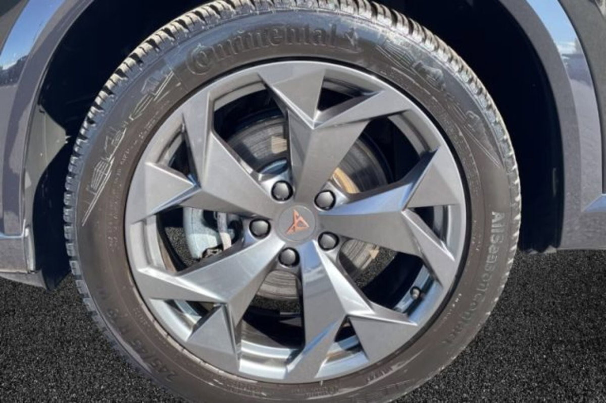 Cupra Formentor Formentor 2.0 TDI (7)