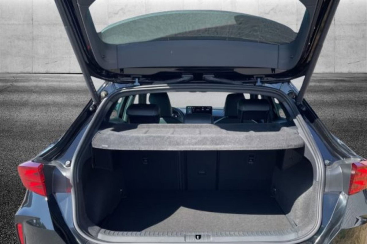 Cupra Formentor Formentor 2.0 TDI (8)