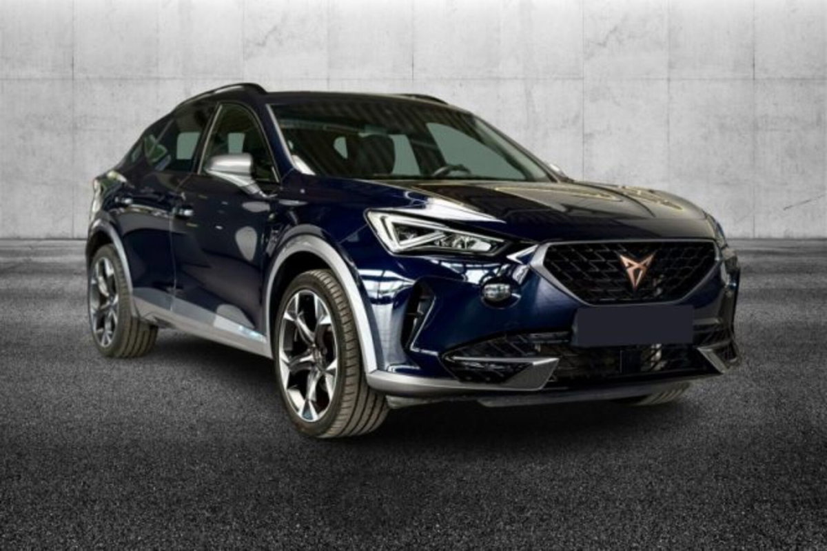 Cupra Formentor Formentor 2.0 tdi 4drive 150cv dsg (2)