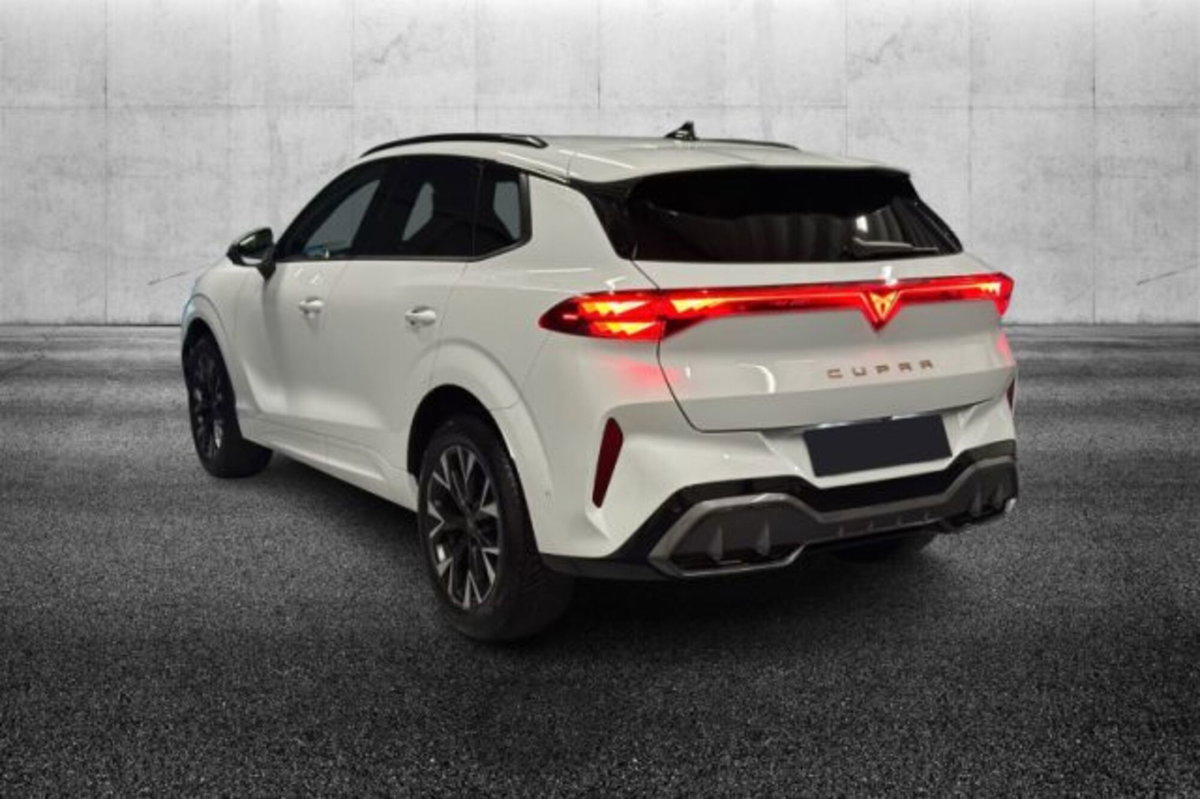 Cupra Terramar 1.5 hybrid 150cv dsg (3)