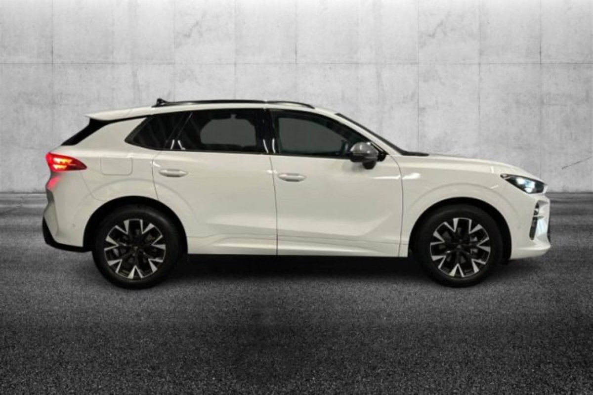 Cupra Terramar 1.5 hybrid 150cv dsg (5)
