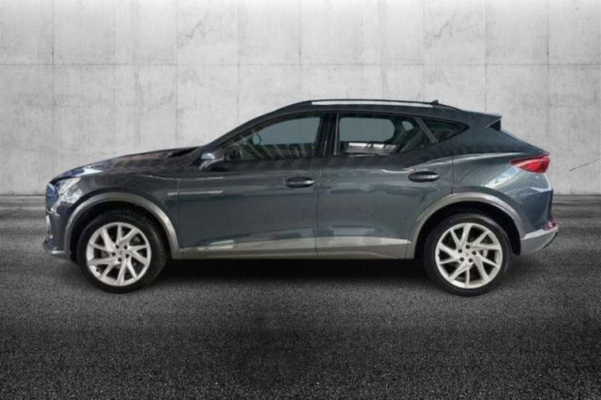 Cupra Formentor Formentor 2.0 tdi 4drive 150cv dsg (3)