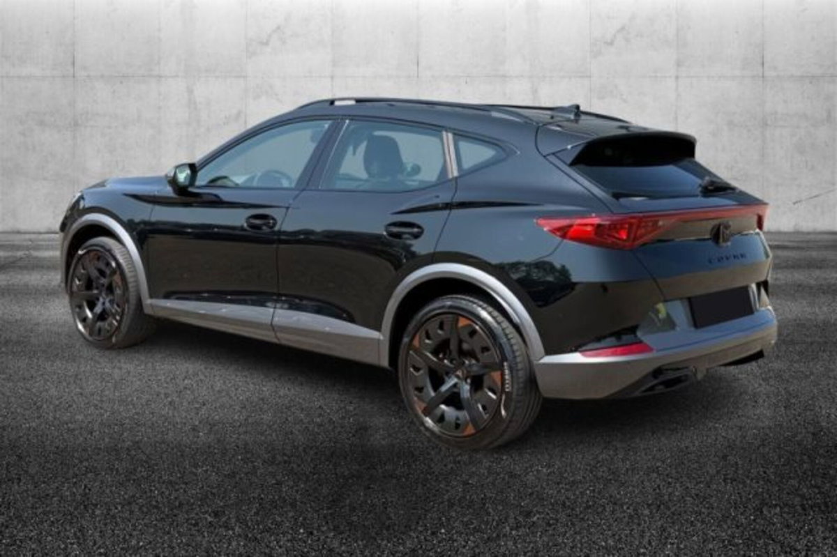 Cupra Formentor Formentor 2.0 tsi 4drive 190cv dsg (4)