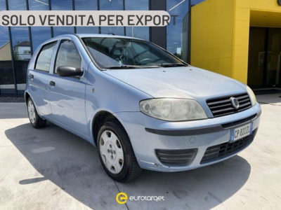 Fiat Punto 1.2 5 porte Actual usata