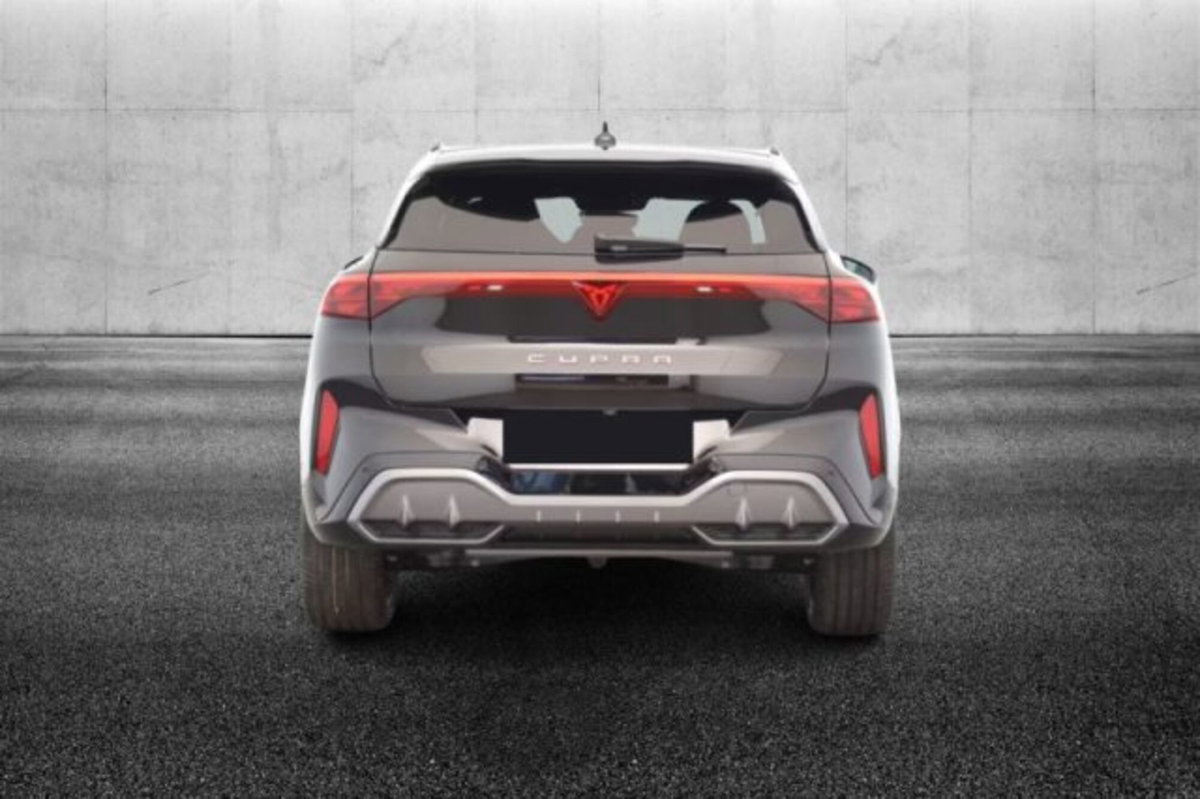 Cupra Terramar 1.5 e-hybrid 204cv dsg (6)