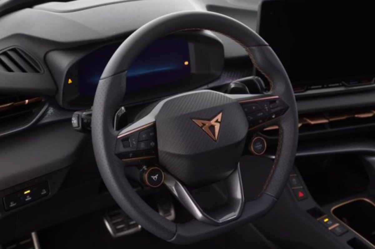 Cupra Terramar 1.5 e-hybrid 204cv dsg (8)