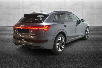 Audi e-tron 55 quattro S line Fast edition (3)