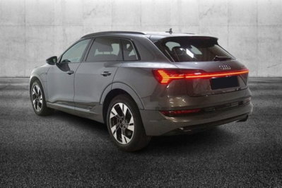 Audi e-tron 55 quattro S line Fast edition (4)