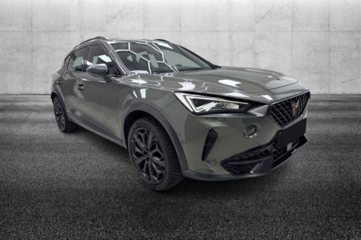 Cupra Formentor Formentor 2.0 TSI DSG VZ (2)