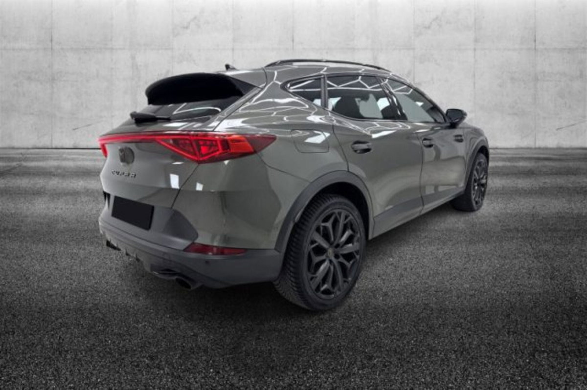 Cupra Formentor Formentor 2.0 TSI DSG VZ (3)