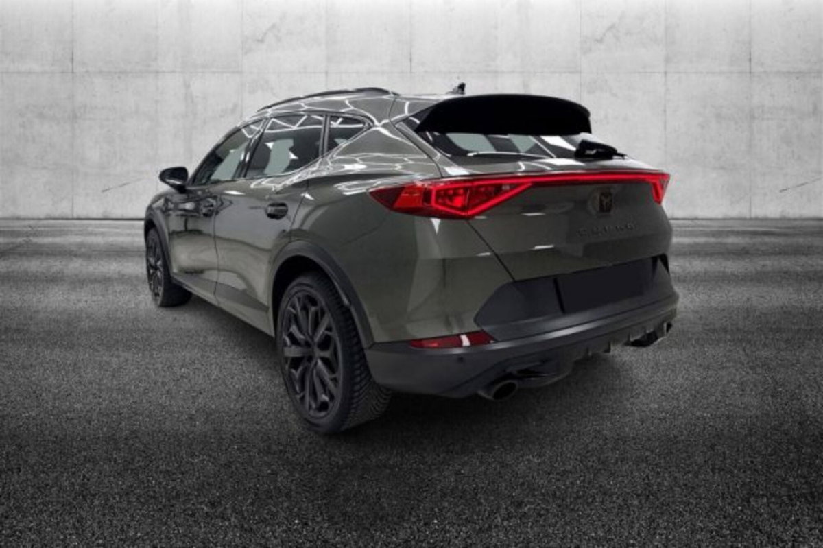 Cupra Formentor Formentor 2.0 TSI DSG VZ (4)