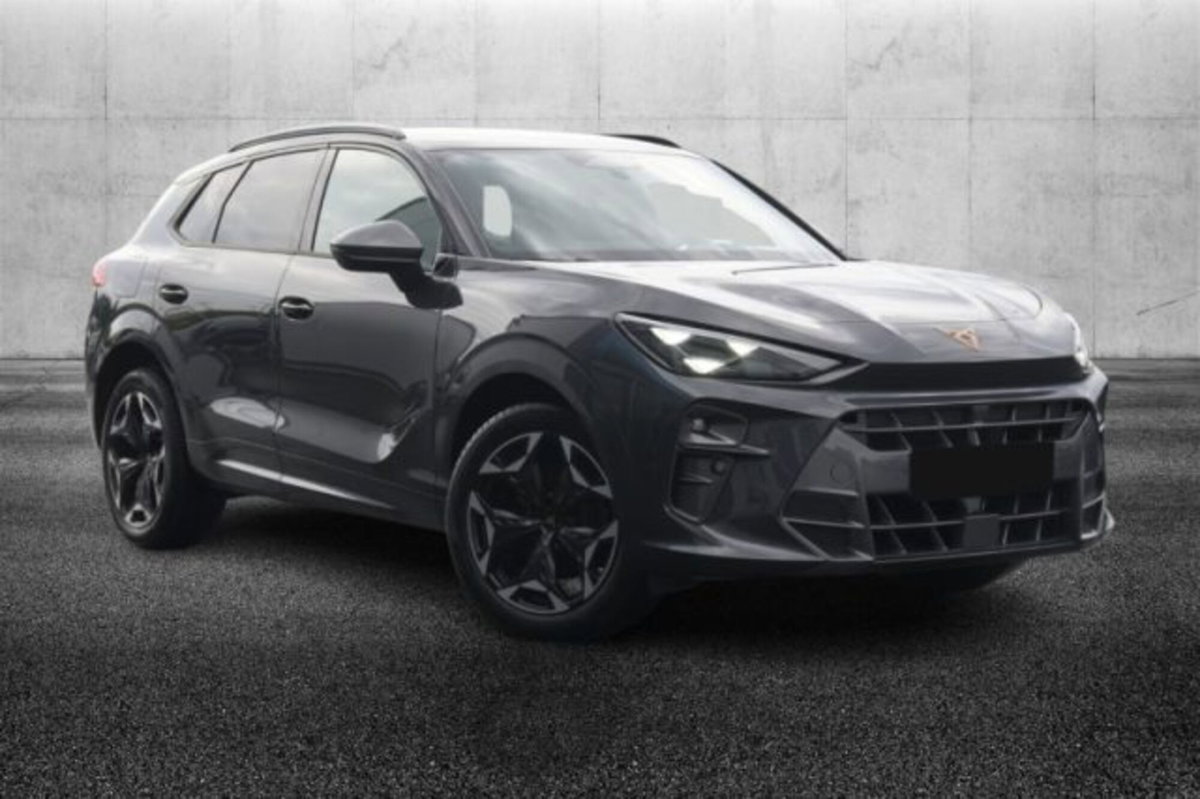 Cupra Terramar 2.0 tsi VZ 4drive 265cv dsg (2)