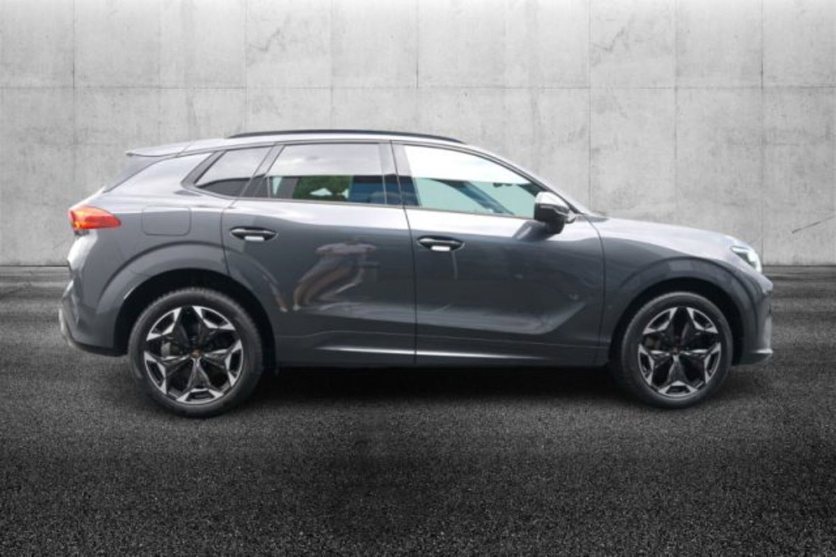 Cupra Terramar 2.0 tsi VZ 4drive 265cv dsg (5)