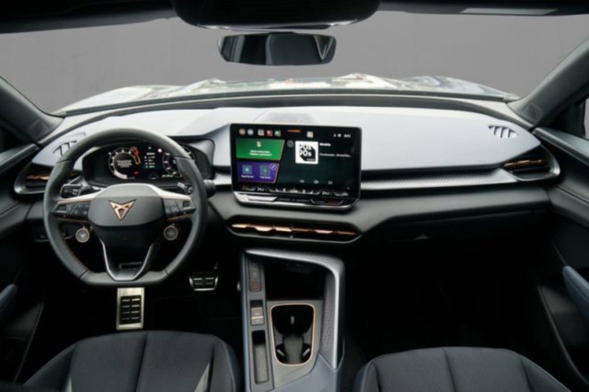Cupra Terramar 2.0 tsi VZ 4drive 265cv dsg (6)