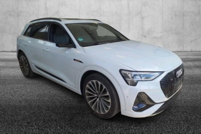 Audi e-tron 55 quattro S line Fast edition (2)