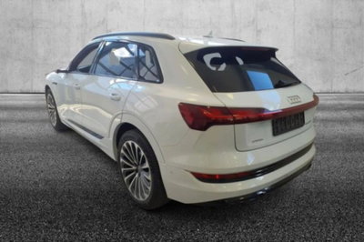 Audi e-tron 55 quattro S line Fast edition (4)