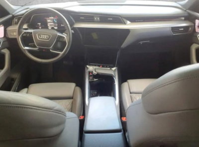 Audi e-tron 55 quattro S line Fast edition (5)