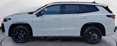 Volkswagen Tayron 2.0 tdi R-Line 150cv dsg 7p.ti (3)