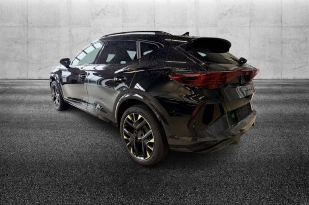 Cupra Formentor 2.0 tdi Tribe Edition 150cv dsg (3)
