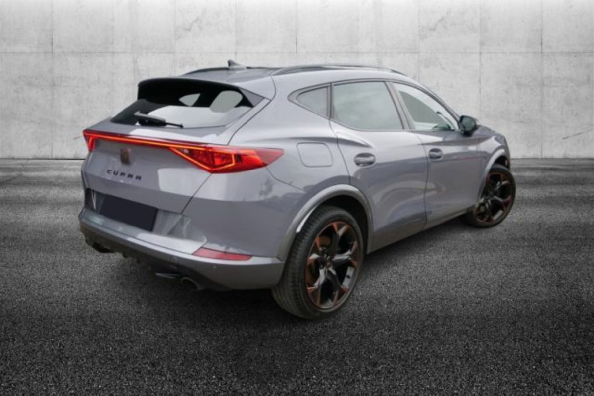 Cupra Formentor Formentor 2.0 TSI DSG VZ (2)