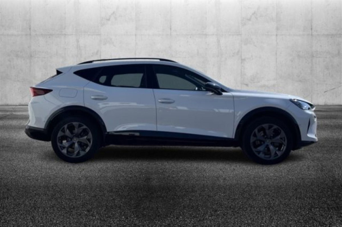 Cupra Formentor Formentor 2.0 TDI (5)