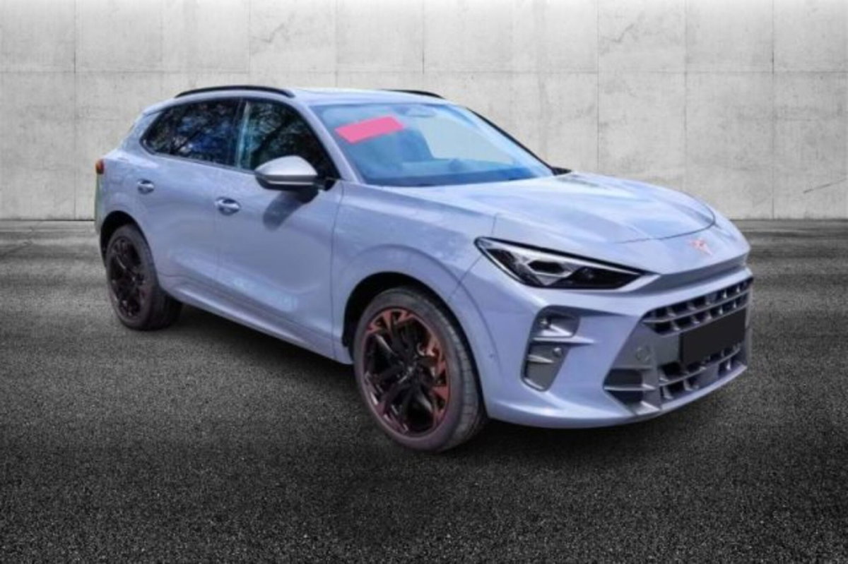 Cupra Terramar 2.0 tsi VZ 4drive 265cv dsg (2)