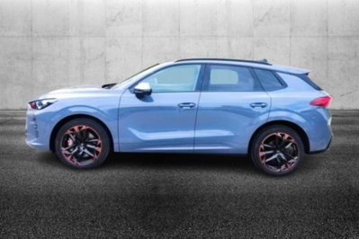 Cupra Terramar 2.0 tsi VZ 4drive 265cv dsg (5)