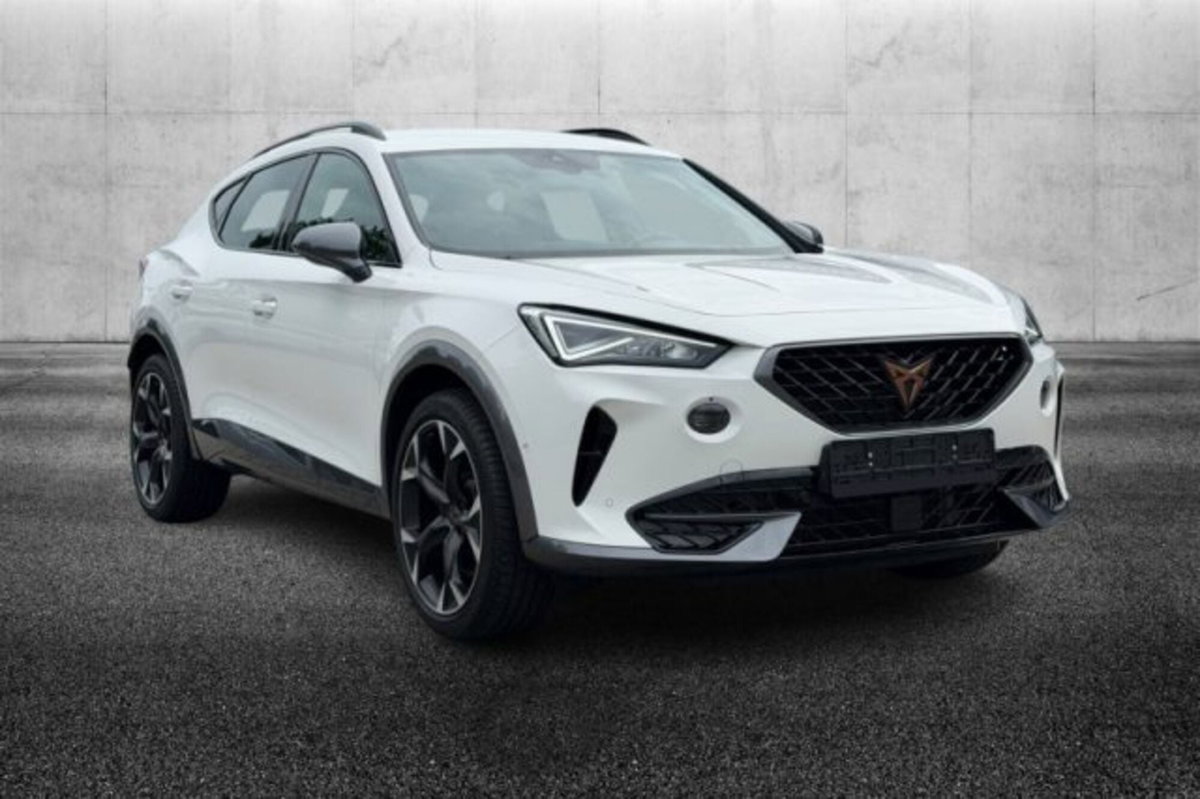 Cupra Formentor Formentor 2.0 TSI DSG VZ (2)