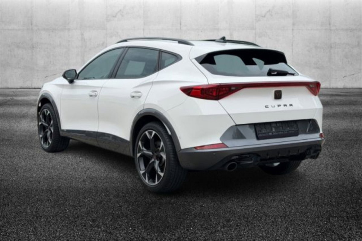Cupra Formentor Formentor 2.0 TSI DSG VZ (3)