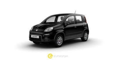 Fiat Panda 1.0 firefly hybrid s&s 70cv 5p.ti nuova