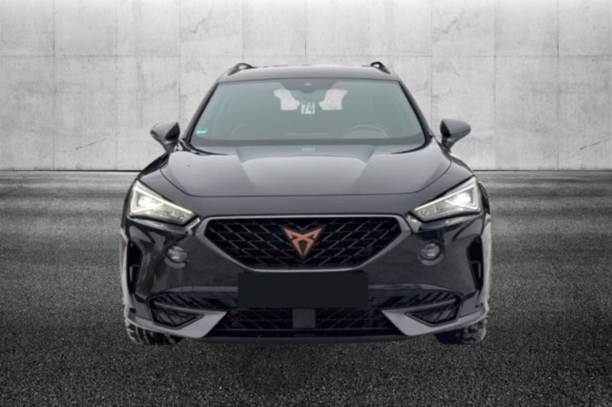 Cupra Formentor Formentor 2.0 tdi 4drive 150cv dsg (5)