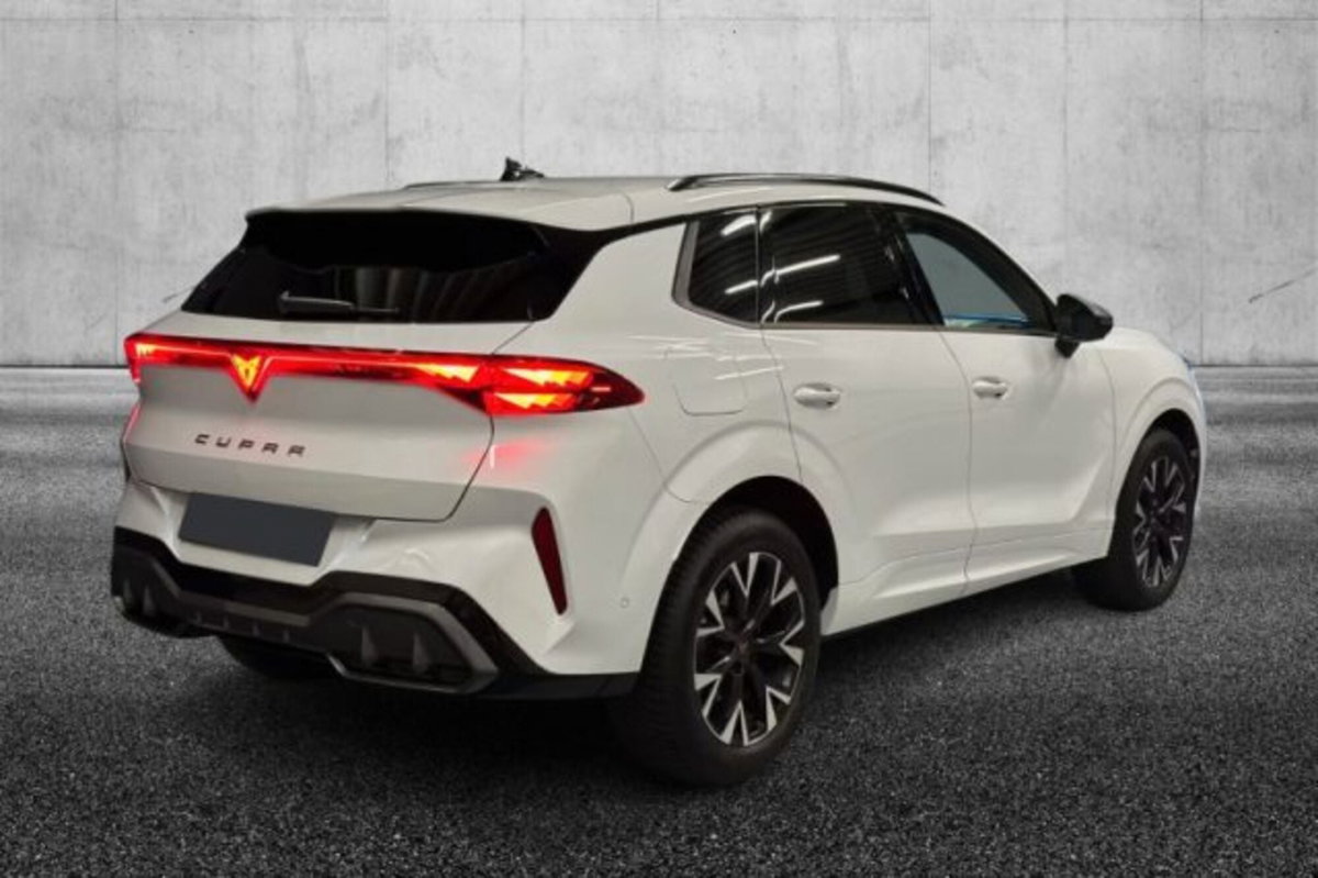 Cupra Terramar 1.5 hybrid 150cv dsg (3)