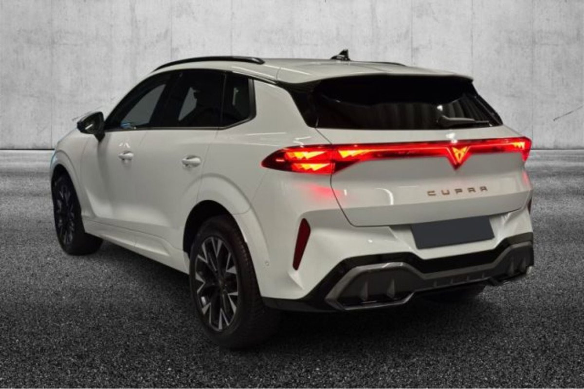 Cupra Terramar 1.5 hybrid 150cv dsg (4)
