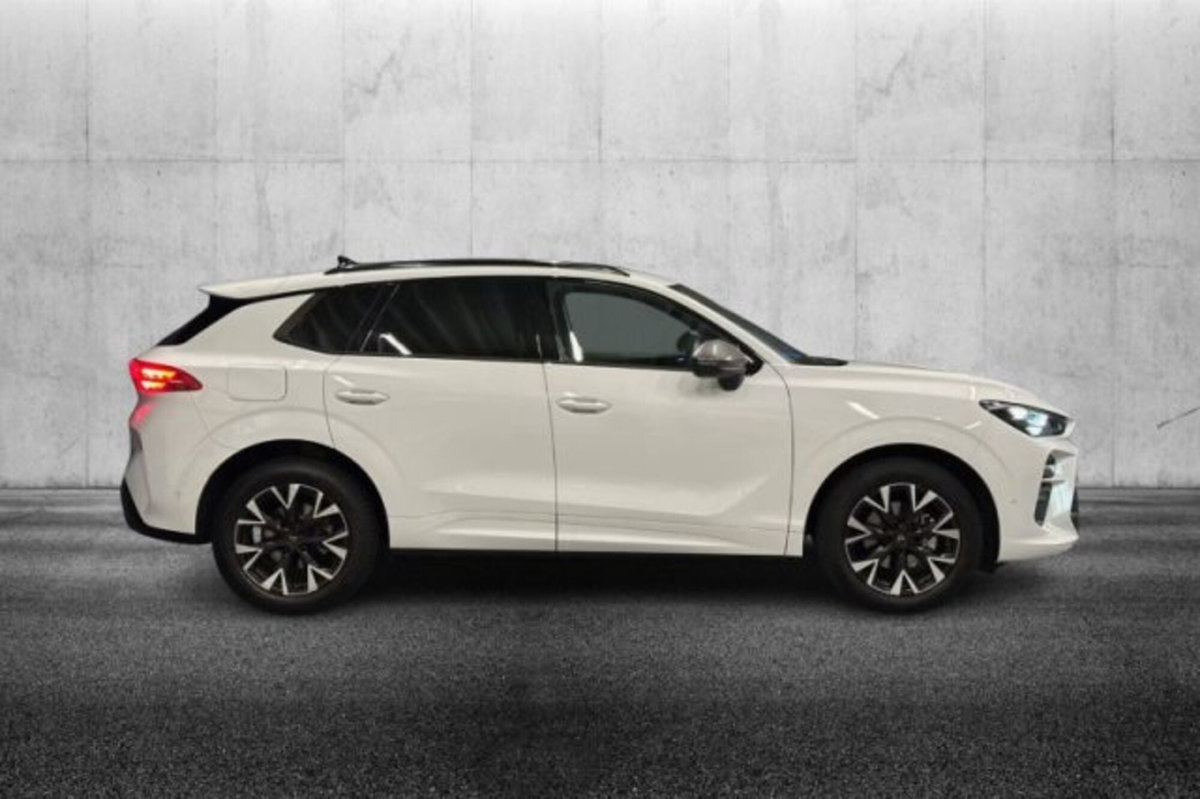 Cupra Terramar 1.5 hybrid 150cv dsg (5)