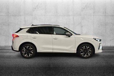 Cupra Terramar 1.5 hybrid 150cv dsg (5)