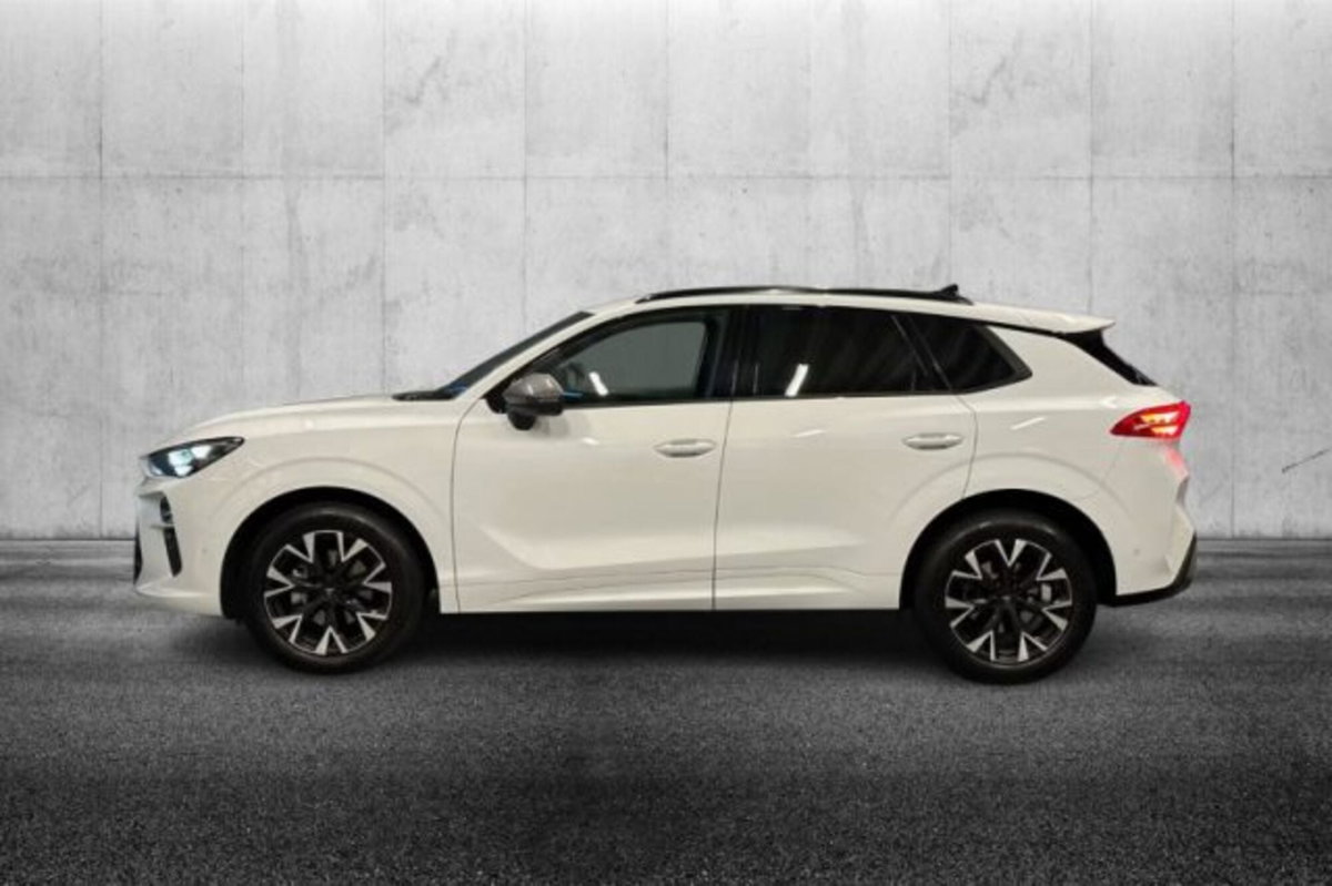Cupra Terramar 1.5 hybrid 150cv dsg (6)